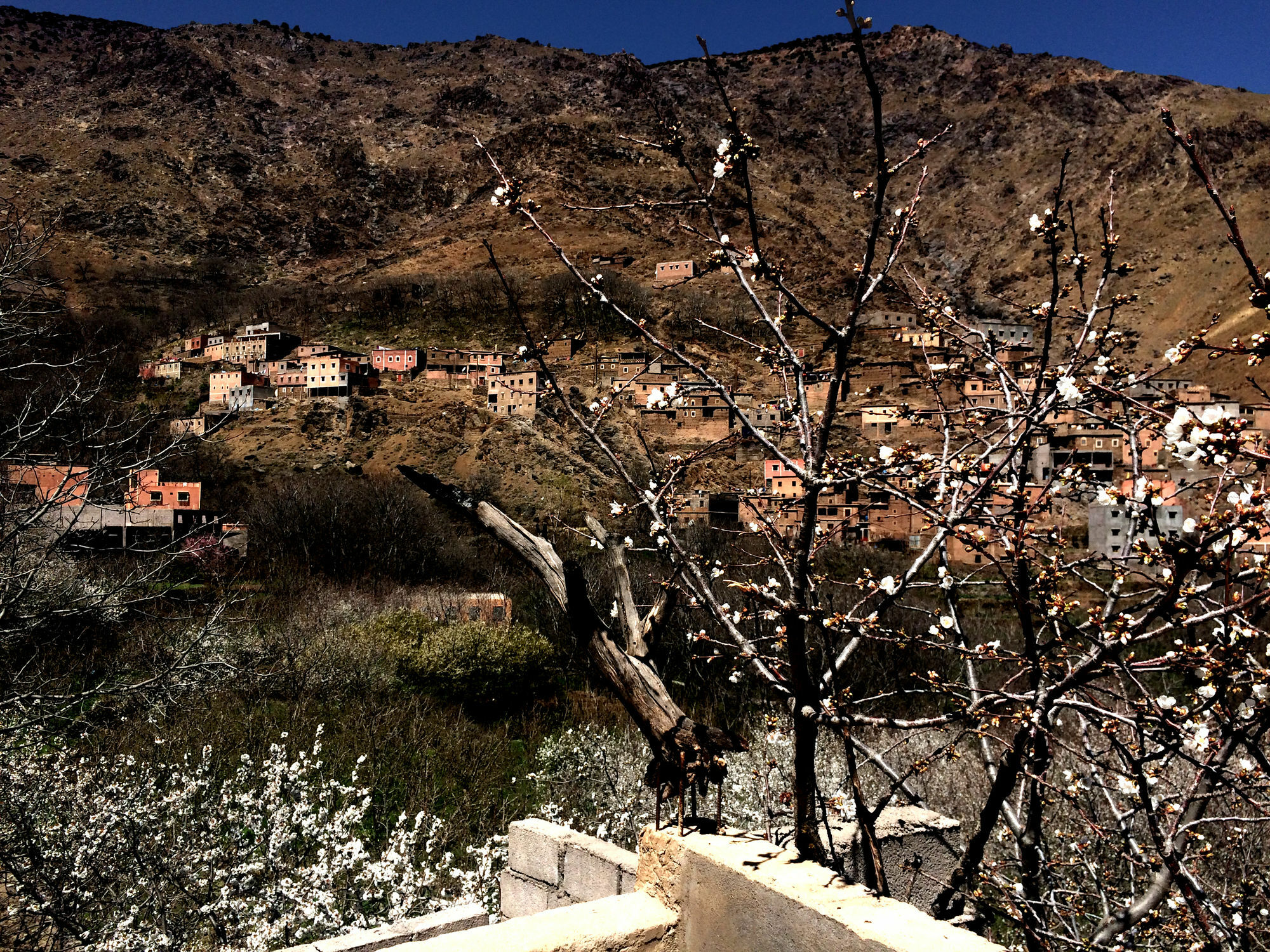 Gîte Tamsoulte Imlil  Extérieur photo